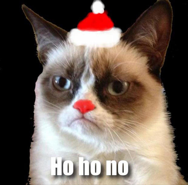 grumpy-cat-christmas-pictures-ho-ho-ho.jpg
